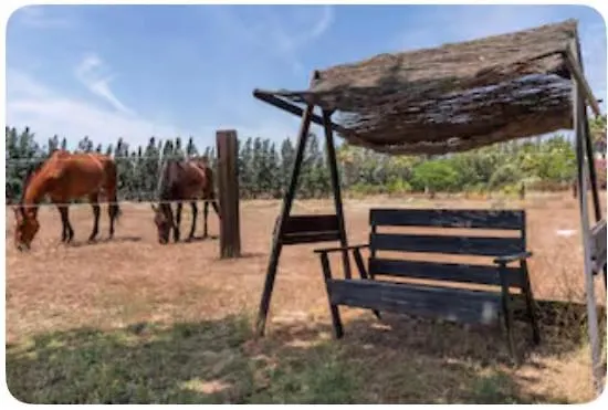 Villa La Cabana De Donana El Rocío Spanje
